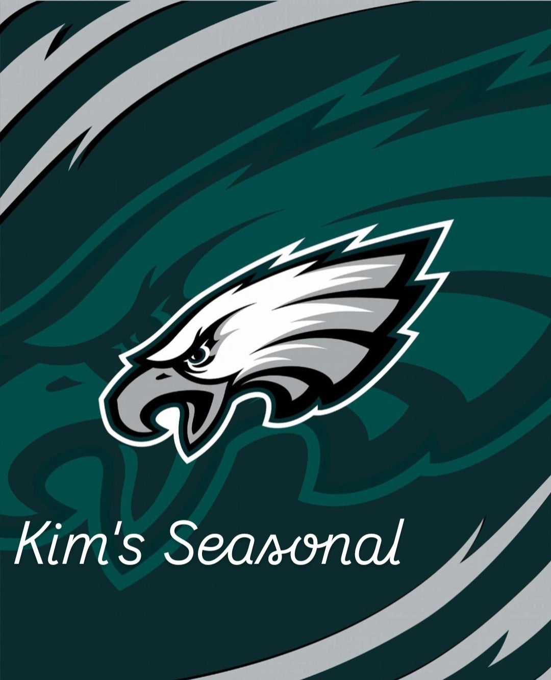 Philadelphia Eagles Queen Size Blanket